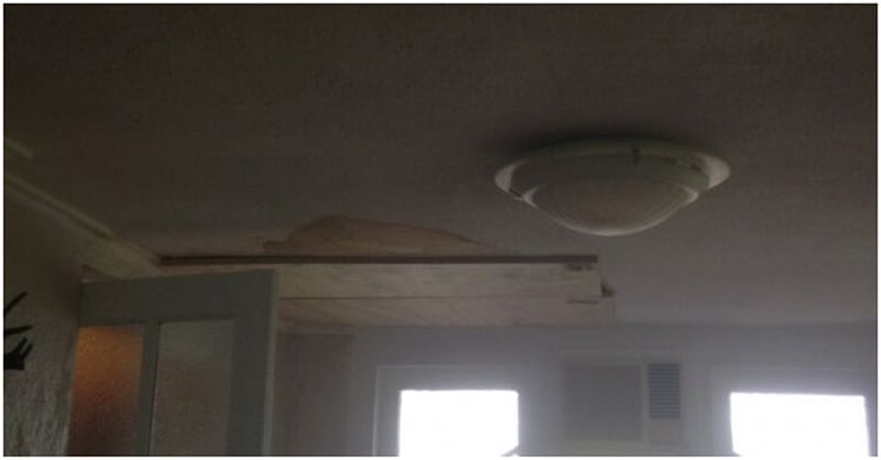 Repair Textured Ceiling In Greenslopes Applied Painting
