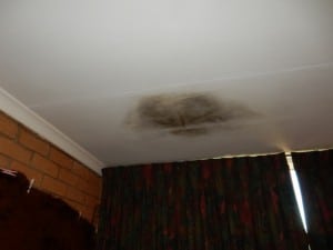 Existing water damaged ceiling