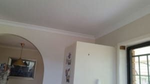 Newly painted walls & ceiling