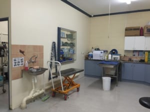 Newly repaired wall lining