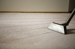 carpet cleaner
