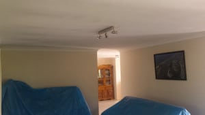 Ferny Hills existing ceiling