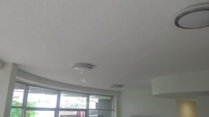 Fortitude Valley newly painted ceiling