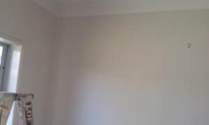 Insurance painting – Wellington point