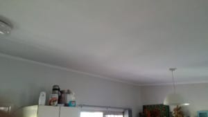 We applied Dulux paint after ceiling repair We applied Dulux paint after ceiling repair